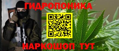 соль ск Брянск