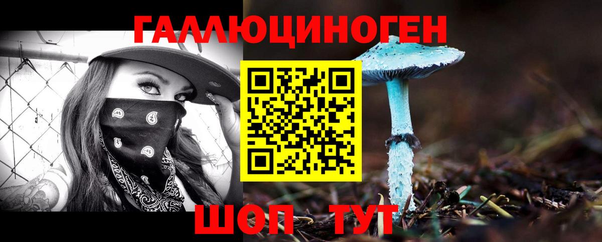 Галлюциногенные грибы Magic Shrooms  Псилоцибиновые грибы Psilocybe  Вход с VPN  где продают   Алатырь 